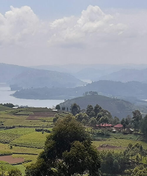 4 Days Bwindi Gorillas and Lake Bunyonyi