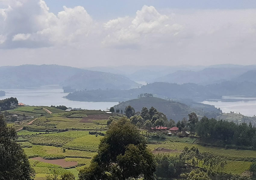 4 Days Bwindi Gorillas and Lake Bunyonyi