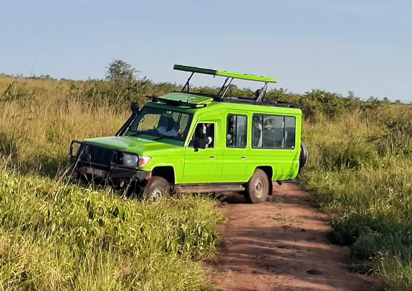 Wildlife Game Drives in Akagera National Park