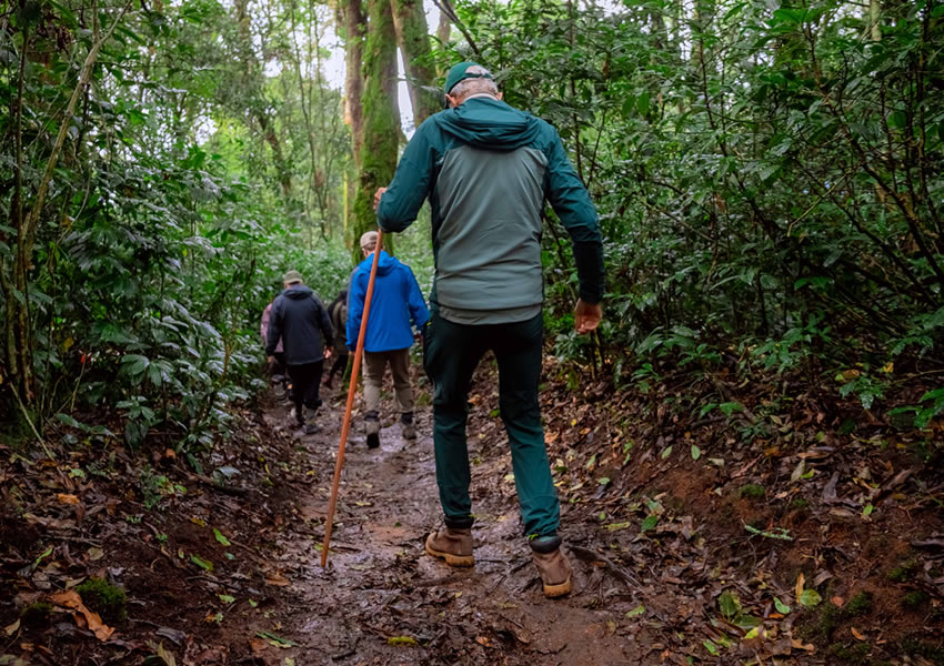 Rwanda Mountain Hiking Safari Tours