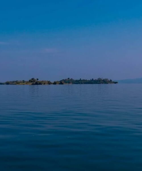 4 Days Gorilla Trekking and Lake Kivu Tour