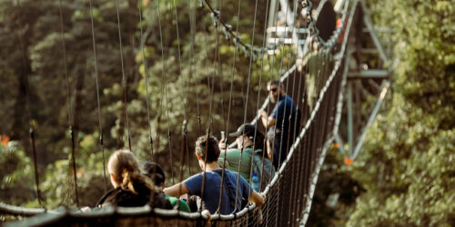 Nyungwe Forest National Park