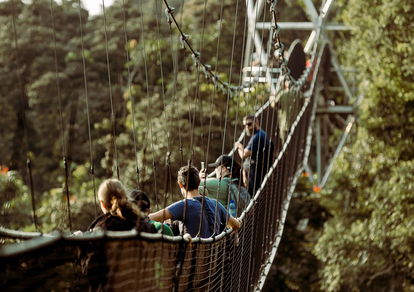 Nyungwe Forest National Park